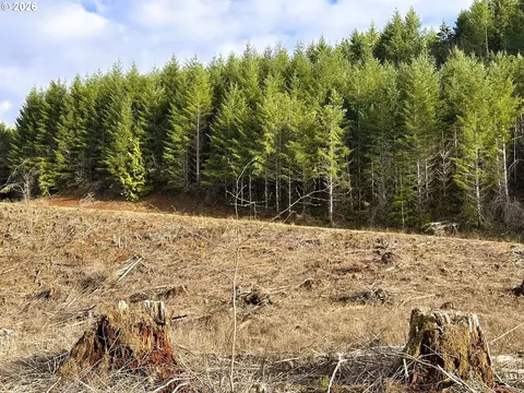 Camp Creek Rd, Springfield, OR 97478 photo 24