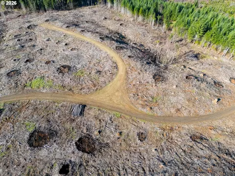 Camp Creek Rd, Springfield, OR 97478 photo 6