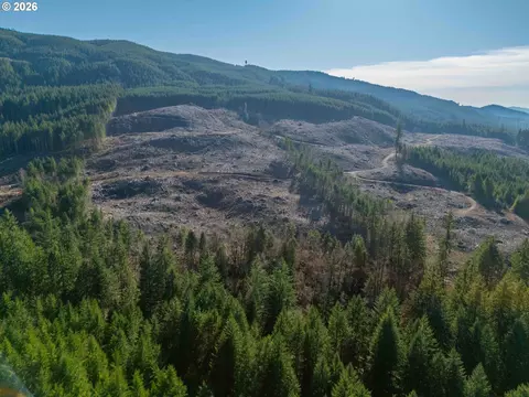 Camp Creek Rd, Springfield, OR 97478 photo 3