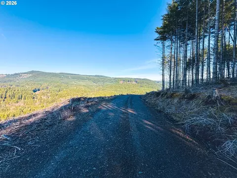 Camp Creek Rd, Springfield, OR 97478 photo 18