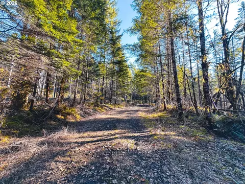 Camp Creek Rd, Springfield, OR 97478 photo 42
