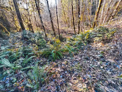 Camp Creek Rd, Springfield, OR 97478 photo 43