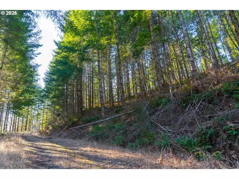 Camp Creek Rd, Springfield, OR 97478 photo 39
