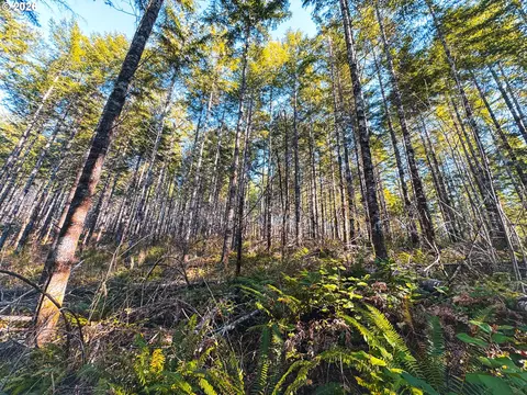 Camp Creek Rd, Springfield, OR 97478 photo 36