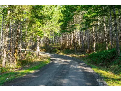 Camp Creek Rd, Springfield, OR 97478 photo 32