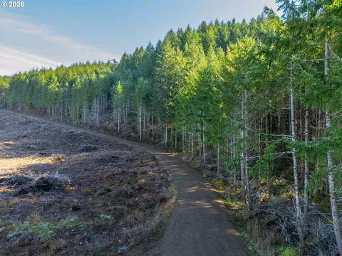 Camp Creek Rd, Springfield, OR 97478 photo 16