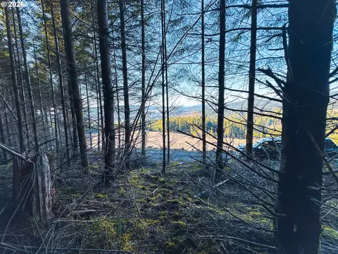 Camp Creek Rd, Springfield, OR 97478 photo 21