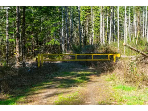 Camp Creek Rd, Springfield, OR 97478 photo 38