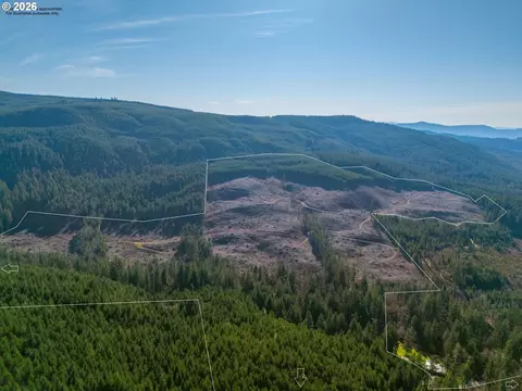 Camp Creek Rd, Springfield, OR 97478 photo 2