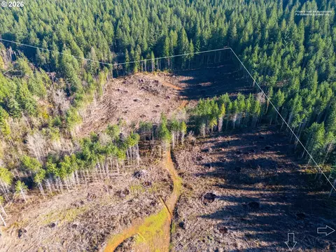 Camp Creek Rd, Springfield, OR 97478 photo 8
