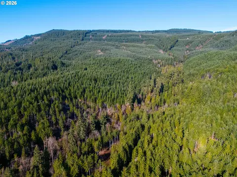 Camp Creek Rd, Springfield, OR 97478 photo 30