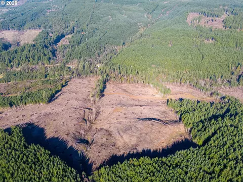 Camp Creek Rd, Springfield, OR 97478 photo 28