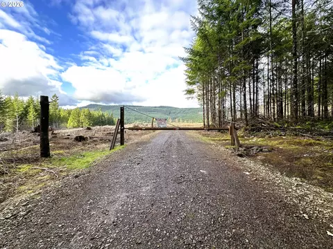 Camp Creek Rd, Springfield, OR 97478 photo 14