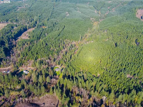 Camp Creek Rd, Springfield, OR 97478 photo 29