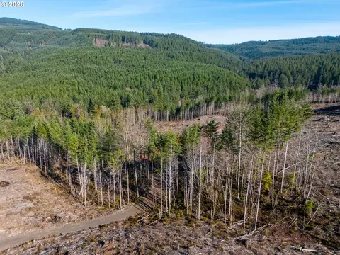 Camp Creek Rd, Springfield, OR 97478 photo 9