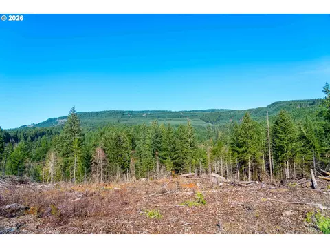 Camp Creek Rd, Springfield, OR 97478 photo 10