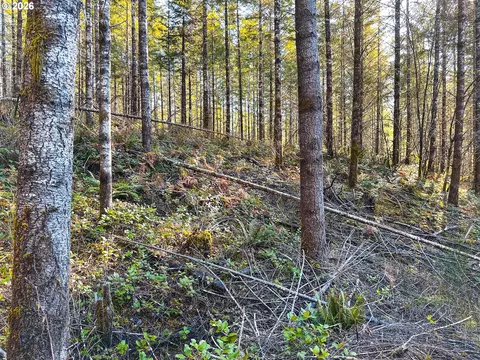 Camp Creek Rd, Springfield, OR 97478 photo 35