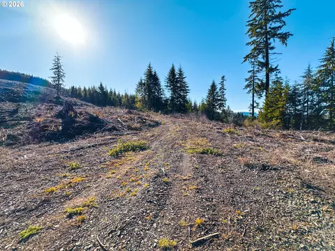 Camp Creek Rd, Springfield, OR 97478 photo 12