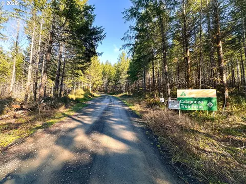 Camp Creek Rd, Springfield, OR 97478 photo 31