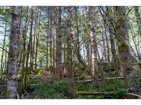 Camp Creek Rd, Springfield, OR 97478 photo 40