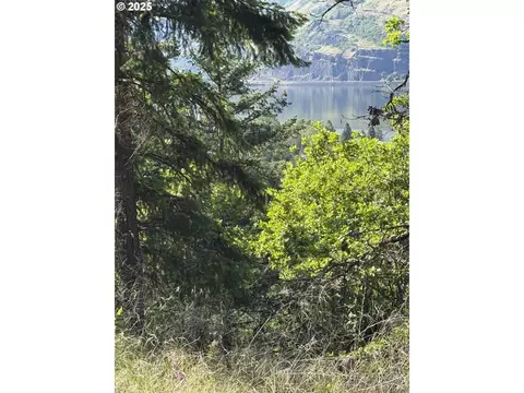 coyote ct LOT 42, Mosier, OR 97040