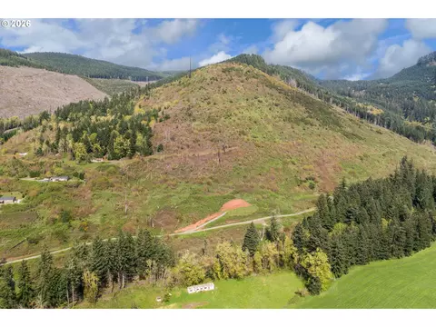 78693 Dowens Rd, Cottage Grove, OR 97424