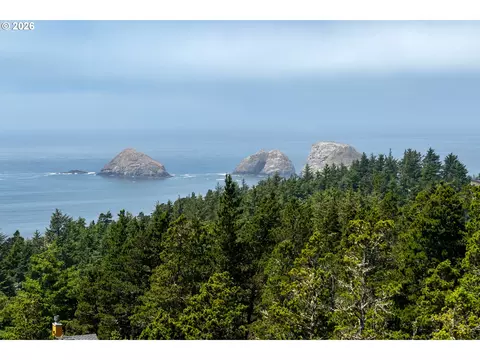 cougar ridge dev, Oceanside, OR 97134 photo 6