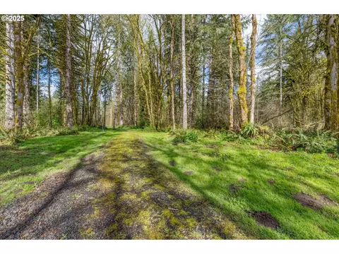 171 Deer Park Ln, Toledo, WA 98591