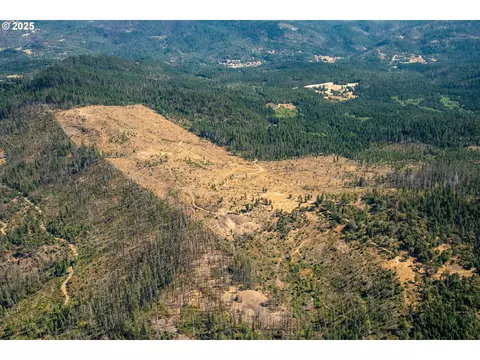Diamond Rock Rd, Winston, OR 97496