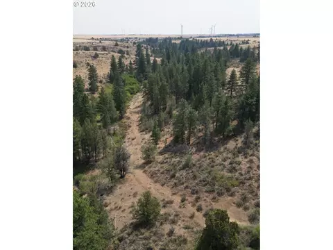 Other - Nn Middle Rd., Bickleton, WA 99322 photo 9 of 32