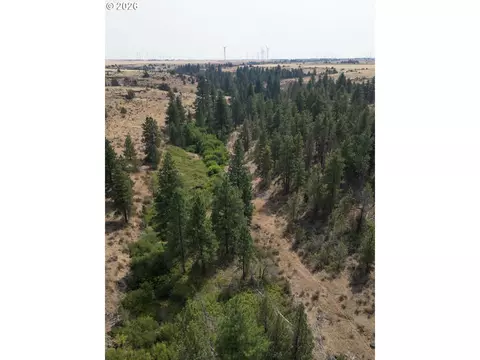 Other - Nn Middle Rd., Bickleton, WA 99322 photo 10 of 32