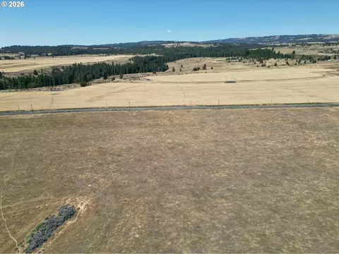Other - Nn Middle Rd., Bickleton, WA 99322 photo 21 of 32
