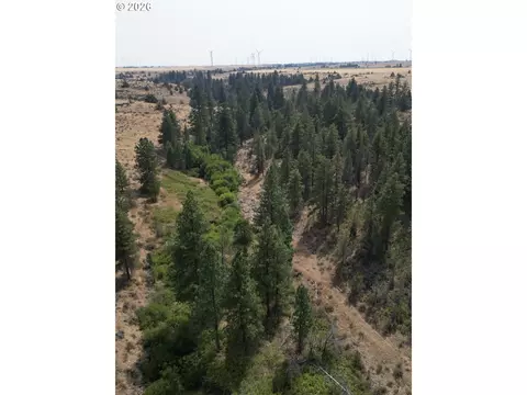 View/Area - Nn Middle Rd., Bickleton, WA 99322 photo 8 of 12