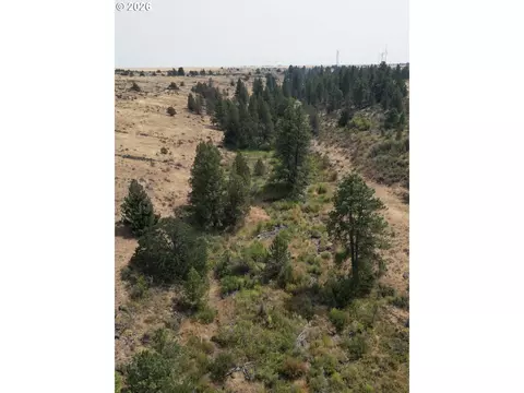 Other - Nn Middle Rd., Bickleton, WA 99322 photo 15 of 32