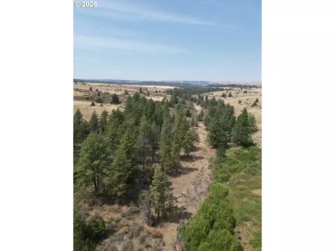 Other - Nn Middle Rd., Bickleton, WA 99322 photo 7 of 32