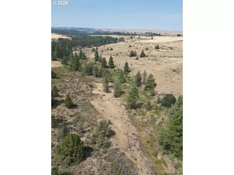 Other - Nn Middle Rd., Bickleton, WA 99322 photo 6 of 32