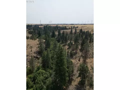 View/Area - Nn Middle Rd., Bickleton, WA 99322 photo 4 of 12