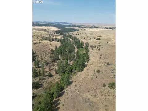Other - Nn Middle Rd., Bickleton, WA 99322 photo 3 of 32