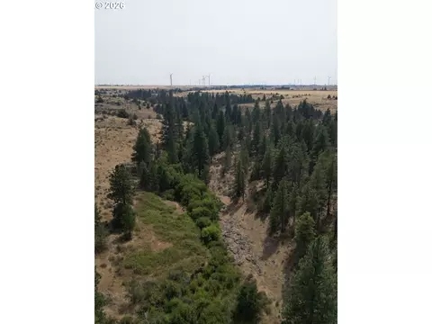 View/Area - Nn Middle Rd., Bickleton, WA 99322 photo 7 of 12
