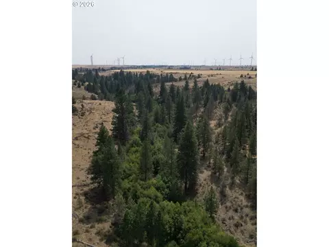 Other - Nn Middle Rd., Bickleton, WA 99322 photo 11 of 32