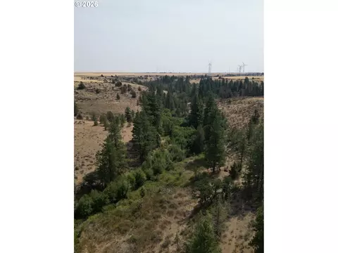 View/Area - Nn Middle Rd., Bickleton, WA 99322 photo 5 of 12
