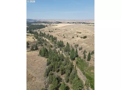 Other - Nn Middle Rd., Bickleton, WA 99322 photo 5 of 32