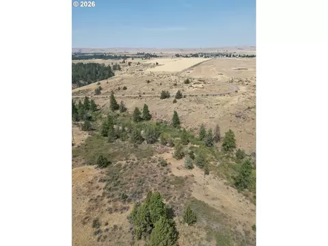 View/Area - Nn Middle Rd., Bickleton, WA 99322 photo 3 of 12