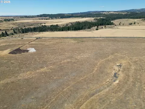 Other - Nn Middle Rd., Bickleton, WA 99322 photo 19 of 32