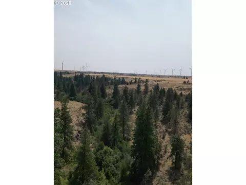 View/Area - Nn Middle Rd., Bickleton, WA 99322 photo 2 of 12