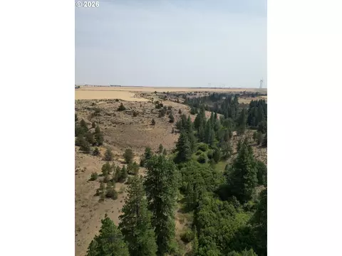 View/Area - Nn Middle Rd., Bickleton, WA 99322 photo 6 of 12