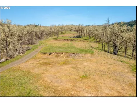 0 E Willis Creek Rd, Winston, OR 97496 photo 3