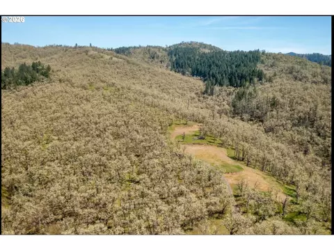 0 E Willis Creek Rd, Winston, OR 97496 photo 4