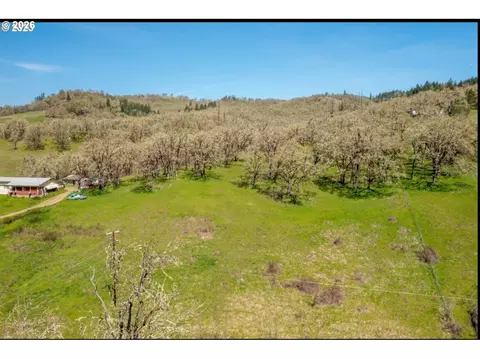 0 E Willis Creek Rd, Winston, OR 97496 photo 9