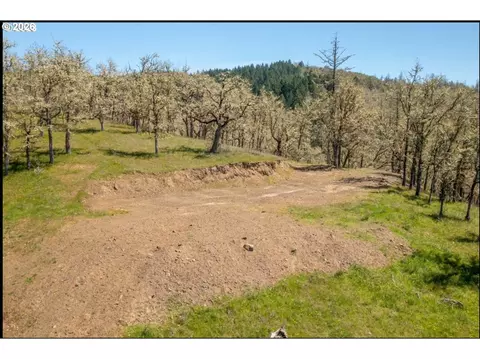 0 E Willis Creek Rd, Winston, OR 97496 photo 11